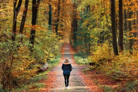 Woman walking on a foret during Autum