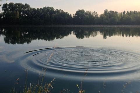 Ripple water effect