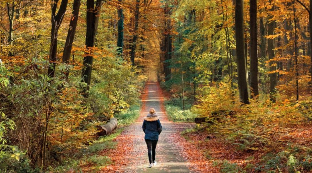 Woman walking on a foret during Autum