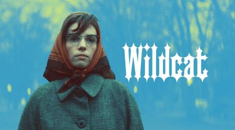 Wildcat movie