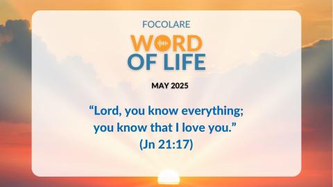 Wol 052025